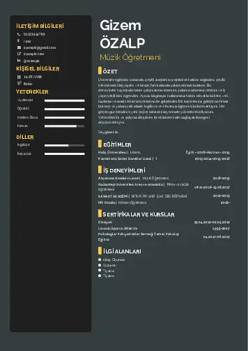 Müzik Öğretmeni Cv Örnekleri cv indir